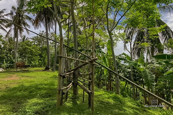 Image 6 from Près de la plage Terrain avec vue sur la rizière à vendre en pleine propriété à Bali Balian Beach