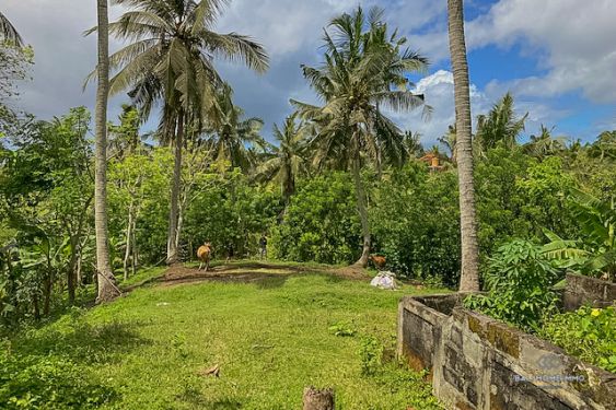 Image 2 from Near Beach Rice Field View Land for Sale Freehold in Bali West Coast Balian Beach