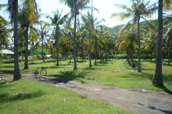 Image 2 from Near the Beach Land for Sale Freehold in Gili Trawangan