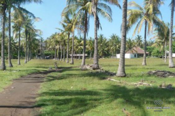 Image 2 from Near the Beach Land for Sale Freehold in Gili Trawangan