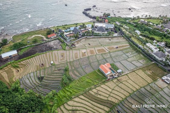 Image 2 from Near the Beach Land for Sale Leasehold in Bali Cemagi