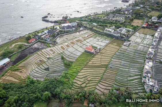 Image 3 from Tanah Dekat Pantai Disewakan Jangka Panjang di Bali Cemagi