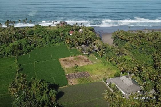 Image 2 from Tanah Disewakan Jangka Panjang di Bali Dekat Pantai Kedungu
