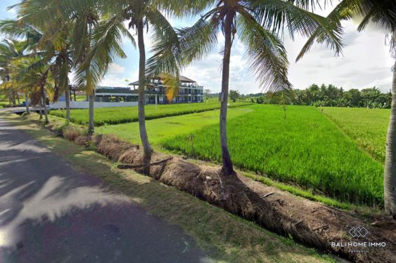 Image 2 from NEAR THE BEACH LAND WITH RICEFIELD VIEW FOR SALE LEASEHOLD IN BALI KEDUNGU