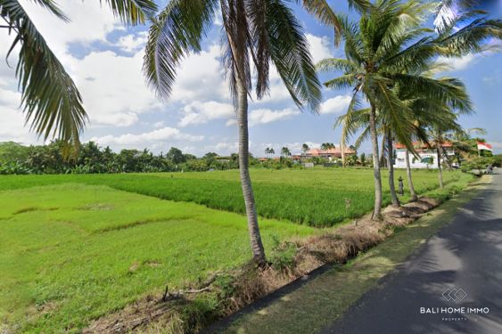 Image 3 from NEAR THE BEACH LAND WITH RICEFIELD VIEW FOR SALE LEASEHOLD IN BALI KEDUNGU