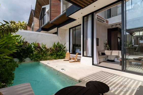 VILLA NEUVE DE 2 CHAMBRES À VENDRE EN BAIL À PERERENAN, BALI