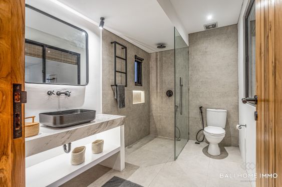 Image 10 from 1 Bedroom Loft Apartment for monthly rental in Bali Canggu Berawa near Beach