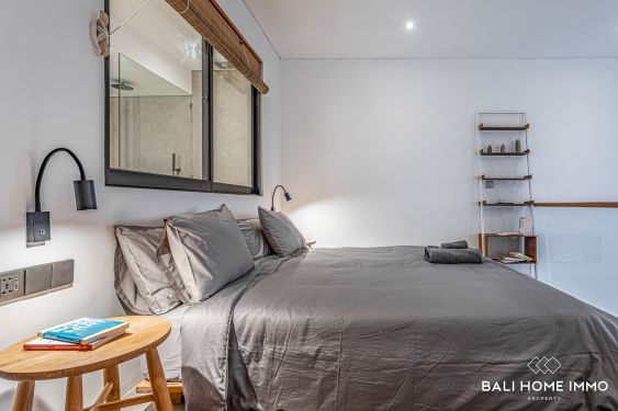 Image 8 from 1 Bedroom Loft Apartment for monthly rental in Bali Canggu Berawa near Beach