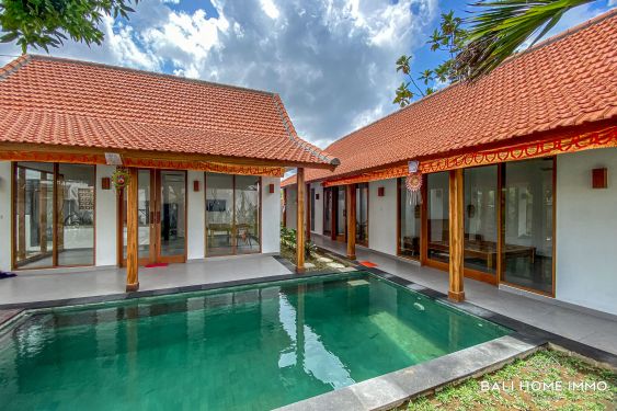 Image 3 from Newly Build 2 Bedroom Villa for Yearly Rental in Bali Canggu Residential Side