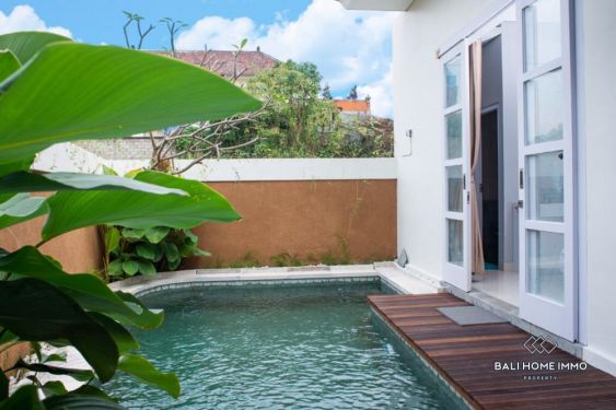 Image 3 from Nouvellement construit 1 chambre à vendre en pleine propriété à Bali Mengwi