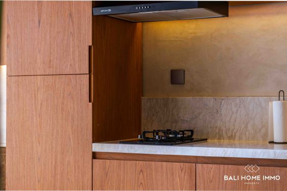 Image 14 from Loteng 1 Kamar dengan Pemandangan Sawah Disewakan di Bali Pererenan