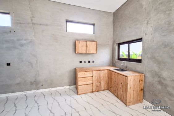 Image 4 from Newly Built 2 Bedroom Villa for Yearly Rental In Kedungu Tanah Lot