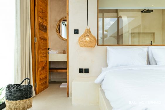 Image 17 from Newly Built 2 Bedroom Villa for Sale in Bali Canggu Residential Side