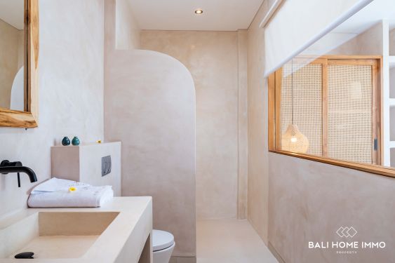 Image 19 from Newly Built 2 Bedroom Villa for Sale in Bali Canggu Residential Side