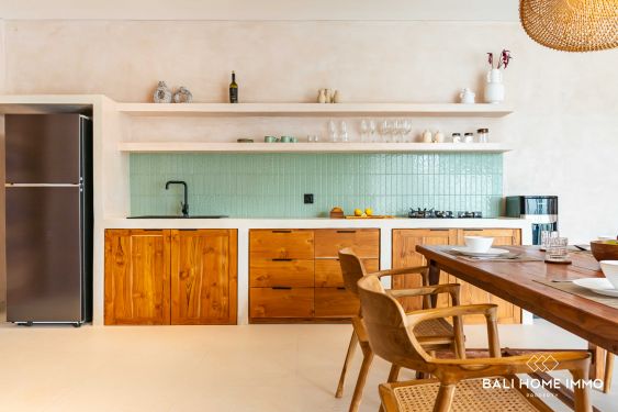 Image 7 from Newly Built 2 Bedroom Villa for Sale in Bali Canggu Residential Side
