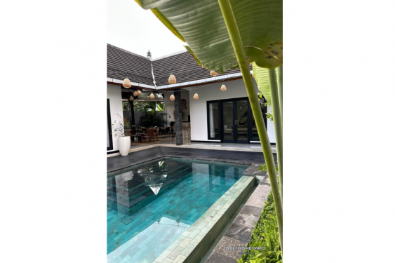 Image 3 from Newly renovated 2 bedroom villa for rent near Canggu and Kerobokan