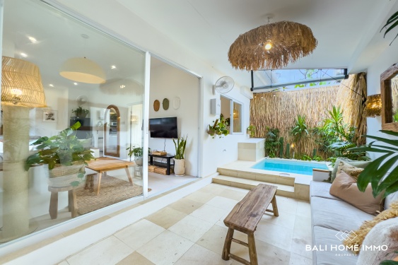 Image 2 from Newly Renovated 2 Bedroom Villa for Sale Leasehold in Bali Canggu Berawa