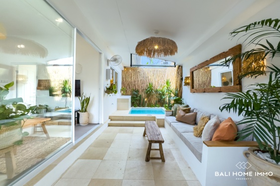 Image 3 from Newly Renovated 2 Bedroom Villa for Sale Leasehold in Bali Canggu Berawa