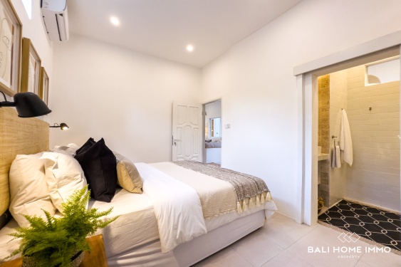 Image 19 from Newly Renovated 2 Bedroom Villa for Sale Leasehold in Bali Canggu Berawa
