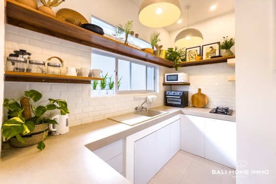 Image 12 from Newly Renovated 2 Bedroom Villa for Sale Leasehold in Bali Canggu Berawa