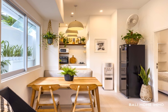 Image 11 from Newly Renovated 2 Bedroom Villa for Sale Leasehold in Bali Canggu Berawa