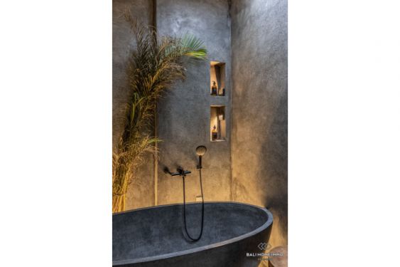 Image 13 from Newly Renovated 2 Bedroom Villa for Sale Leasehold in Bali Umalas