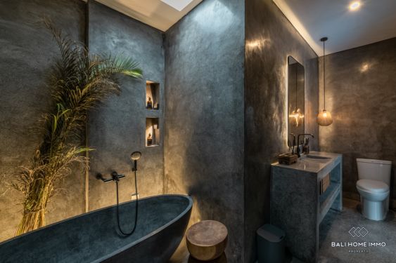 Image 11 from Newly Renovated 2 Bedroom Villa for Sale Leasehold in Bali Umalas