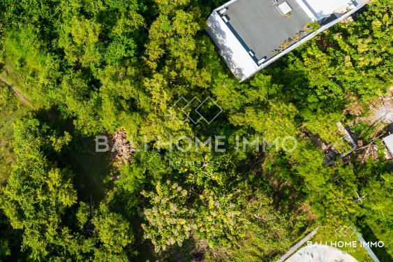 Image 2 from Ocean View Land for Sale Freehold and Leasehold in Ungasan