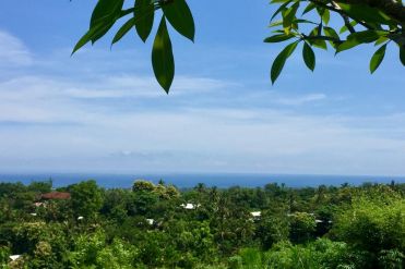 Image 1 from Ocean view land for sale freehold in lovina