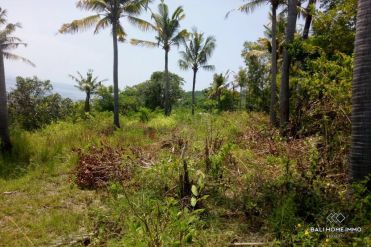 Image 4 from TERRAIN AVEC VUE SUR L'OCÉAN À VENDRE EN PLEINE PROPRIÉTÉ À NUSA PENIDA
