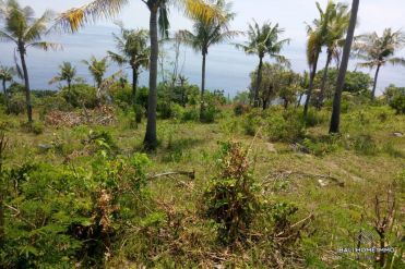 Image 2 from OCEAN VIEW LAND FOR SALE FREEHOLD IN NUSA PENIDA