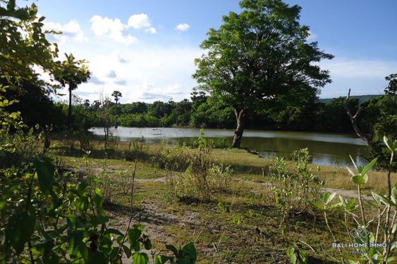 Image 5 from Terrain en bord de mer à vendre en pleine propriété à Sumba