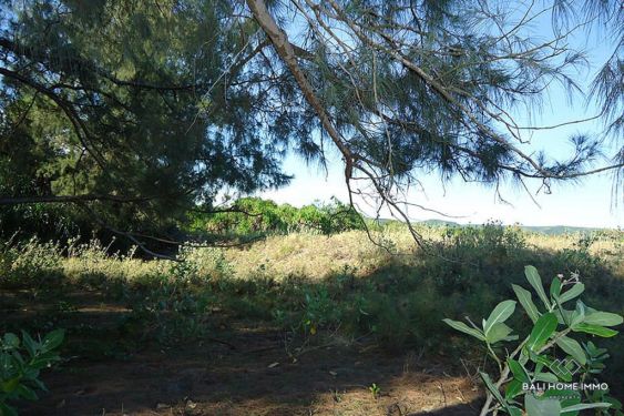 Image 4 from Terrain en bord de mer à vendre en pleine propriété à Sumba