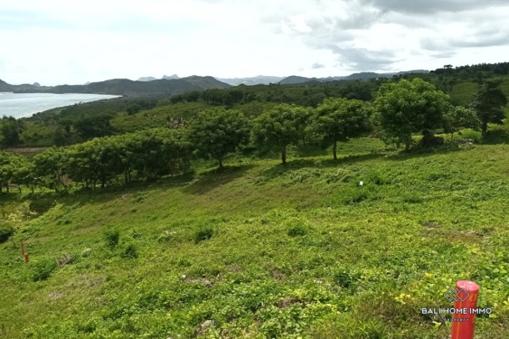 Image 2 from Ocean View Land for Sale Leasehold in Lombok