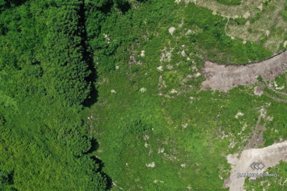 Image 5 from Ocean View Land for Sale Leasehold in Lombok