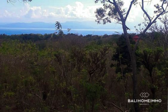 Image 2 from OCEANVIEW LAND FOR SALE FEEHOLD IN LEMBONGAN