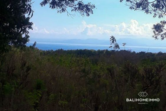 Image 3 from OCEANVIEW LAND FOR SALE FEEHOLD IN LEMBONGAN