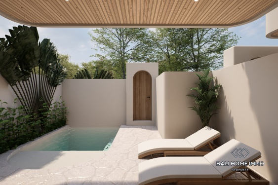 Image 3 from Villa 1 chambre sur plan à vendre près de la plage de Balangan – Opportunité à fort rendement