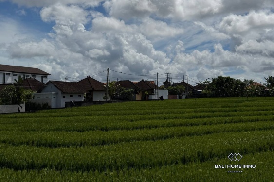 Image 15 from Dijual Villa baru 1 Kamar di Canggu, Bali