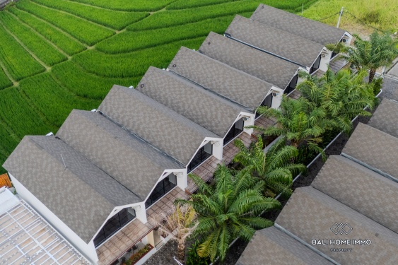 Image 16 from Dijual Villa baru 1 Kamar di Canggu, Bali