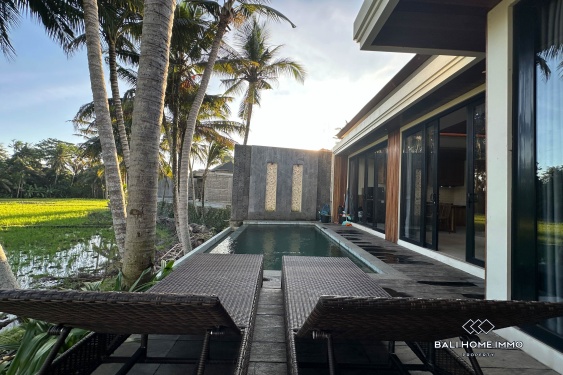 Image 3 from VILA 1 KAMAR TIDUR OFF-PLAN UNTUK DIJUAL SEWA DI BALI UBUD