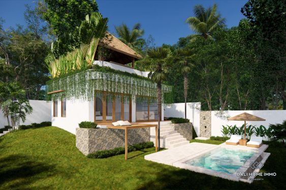 Image 12 from Dijual Vila baru 1 Kamar bertaman Luas di Ubud Bali
