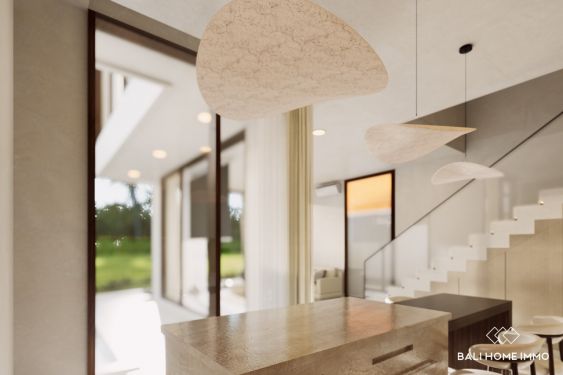 Image 7 from Dijual Villa Modern 2 Kamar Off Plan berpemandangan sawah di Tepi Pantai Cemagi