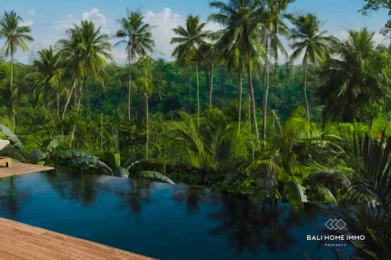 Image 16 from Vila 2 kamar tidur off-plan untuk dijual di Ubud