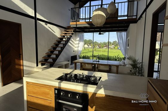 Image 16 from Vila baru 2 Kamar  Disewakan Jangka Panjang di Bali Kaba Kaba