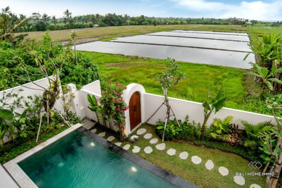 Image 19 from VILLA 2 KAMAR TIDUR BARU UNTUK DIJUAL DI BALI DEKAT PANTAI KEDUNGU