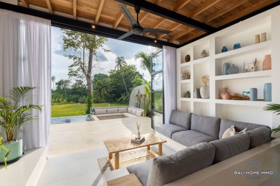 Image 3 from Villa neuve de 2 chambres à vendre en location à Bali Kaba Kaba