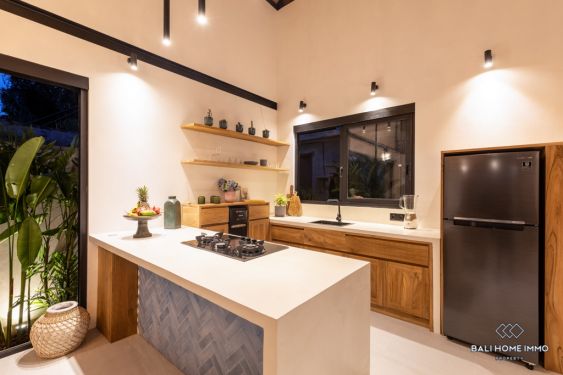 Image 19 from Vila baru 2 Kamar  Disewakan Jangka Panjang di Bali Kaba Kaba