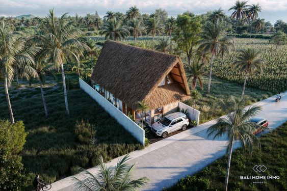 Image 13 from Villa sur plan de 2 chambres à vendre à bail à Bali Kedungu pres de la plage