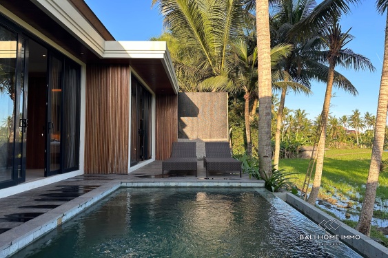 Image 6 from OFF-PLAN 2 BEDROOM VILLA FOR SALE LEASEHOLD IN BALI UBUD